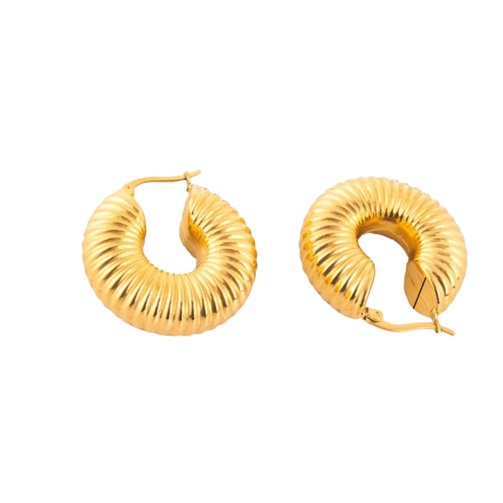 Fossile Doré Earrings